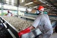 Made in Africa: The Industrial Push Reshaping the Continent’s Economy