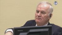 Bosnian Serb wartime commander Ratko Mladic reportedly dies aged 84