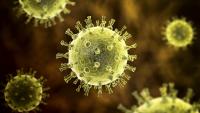 The surprise bonus benefits of four common vaccines