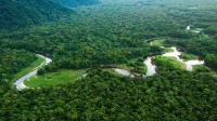 Brazil pledges to restore 163,000 square km of degraded land by 2030