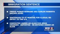 Five year sentence on immigration charges
