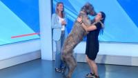 ‘Is that a dog or a horse?’ Meet Paddington