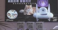 Chinese smart pet products capture global market amid surging overseas orders