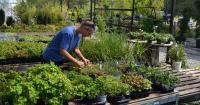 Gardening in heat requires water balance, awareness