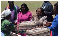 More than 1000 female farmers in Homa Bay County can breathe a sigh of relief after getting 2000 improved indigenous chicks for starting poultry production.
