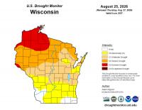 Wisconsin drought threatens crop conditions, dairy farmer grateful for stockpiles