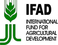 Taraba, FGN/IFAD-VCDP honour women farmers for innovation in agro-processing, marketing