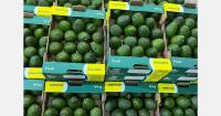 Gulf, India, and China keep Kenya's avocado campaign afloat