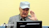 Convicted Bosnian Serb war criminal Mladić dies aged 84