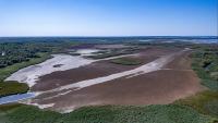 EU countries urged to invest in nature restoration plans and close €65bn annual shortfall