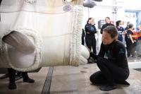 Beluga whale dies at Chicago aquarium days after coming from Canada park in rescue effort