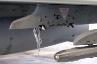 Germany builds radar-powered bird warning system for military aircraft 