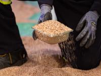 Could Canada cut off potash to the U.S.? It's a 'high stakes game of chicken,' says an expert