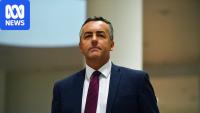 Nationals' deputy Chester says Joyce departure 'sad for him, sad for party'