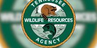 Hunting, fishing licenses could cost nearly 30% more in Tennessee next year. Here’s what we know