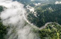 Costa Rica's cloud forest is dying of thirst despite 100 inches of rain a year
