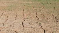Jamaica intensifies water trucking as drought conditions worsen