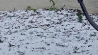 Hail in August? Israel braces for rare summer storm, flooding risk along coast
