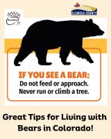 Colorado Parks & Wildlife Tips for Living With Bears in Colorado