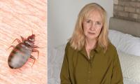 How to tell if you've brought bedbugs back from holiday: Rhonda returned from France covered in itchy welts... MONTHS later her home is still riddled. These are the warning signs - and the ways to avoid infestation