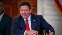 Ron DeSantis Says Flock Cameras Are 'Out of Control,' But Florida's Already Flooded With Surveillance