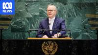 Albanese is seeking the icing on the international cake