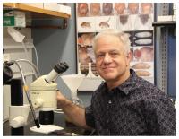 Why a UMass researcher is among the dozens leaving the U.S. for Canada
