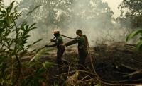 ‘Everything is covered in ash’: Indonesia wildfires leave people in crisis