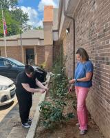 Master Gardeners revamp beds around Iuka library 