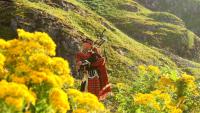 Scotland to establish national performing company for traditional music