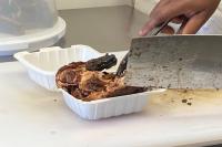 North Bay restaurant brings Caribbean island dishes to the city