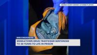 State cracks down on unlicensed cannabis shop in New Rochelle