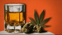 Strong Weed Is No Reason for Prohibition
