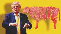 A 90-Day Waiver on Beef Tariffs Won't Rescue America's Cattle Industry
