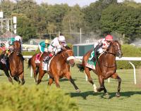 Sunlit Uplands points to G2 Flower Bowl