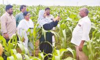 Farmers told to register crop details on e-Panta