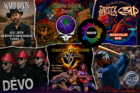 Tampa Bay weekend guide: DEVO, Dirty Heads & 311, Rays & more