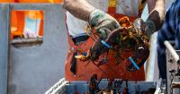 Maine, Alaska net relief as Canada drops fish tariffs