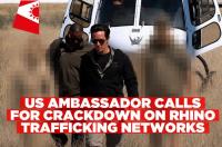US envoy urges Namibia to target wildlife trafficking networks