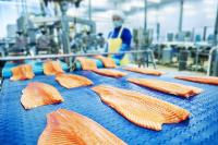 Food manufacturing visits finding safety gaps in machinery and hazardous substances