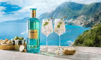 Pernod Ricard’s Italicus Takeover: Implications for Spirits Brands