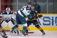 Vernon Vipers Alberta bound for showcase