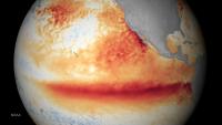 Climate change is supercharging El Niños, coral records show