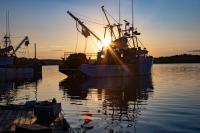 By drone and by net: With a mix of new technology and old practices, Harpswell Neck family harvests pogies by the boatload