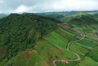 Nickel boom puts Indonesia’s biodiversity goals under pressure: study