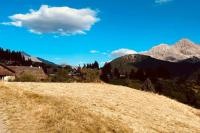 Swiss government unlocks 70m to help farmers and forest owners with drought damage