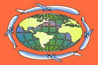 Airlines add int’l routes amid surging demand