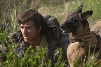 Critics roast Elordi’s latest movie