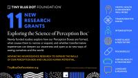 Tiny Blue Dot Foundation Awards $9M For 11 New Research Grants Exploring the Science of the Perception Box