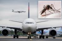 Two workers at Germany’s busiest airport die of malaria after mosquitoes arrive on plane